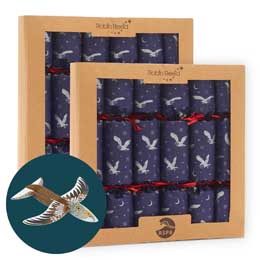 Moonlit Owl recycled crackers with glider toys, 2x boxes of six product photo