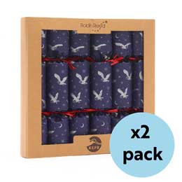 Moonlit owl recycled crackers with pin badges, 2x boxes of six product photo