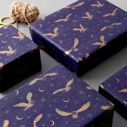 Moonlit owl recycled wrapping paper, 10 metres product photo