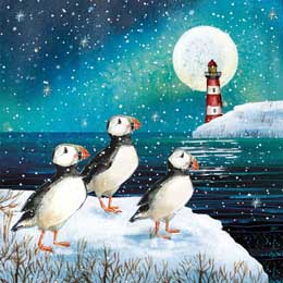 Moonlit Puffin Christmas cards, pack of 10 product photo