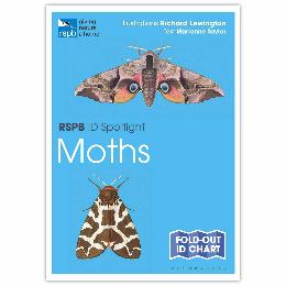 Moths identifier chart - RSPB ID Spotlight series product photo