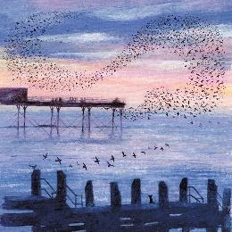 Starling murmuration by the pier greetings card product photo