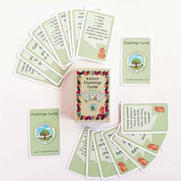 Nature activity cards by Little Wood Walkers product photo