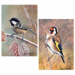 Naughty or nice Christmas cards, pack of 10 product photo