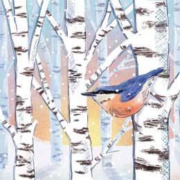 Nuthatch on birch Christmas cards, pack of 10 product photo