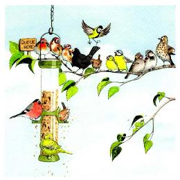 'Queue here' bird feeder greetings card product photo