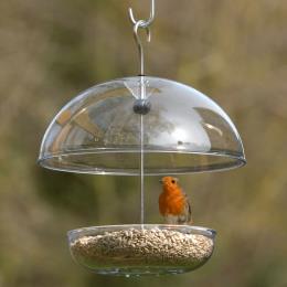 I Love Robins® large dome feeder product photo