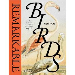 Remarkable birds by Mark Avery product photo