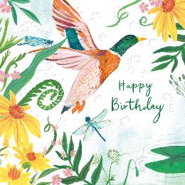 Riverbank mallard happy birthday card product photo