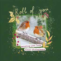 'To both of you' luxury Robin Christmas card, single product photo