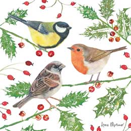 Robin, blue tit and sparrow Christmas cards, pack of 10 product photo