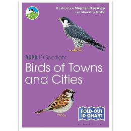 Birds of towns & cities identifier chart - RSPB ID Spotlight series product photo