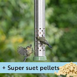 RSPB Ultimate easy-clean® cheater bird feeder and Super suet pellets - mealworm 1kg product photo