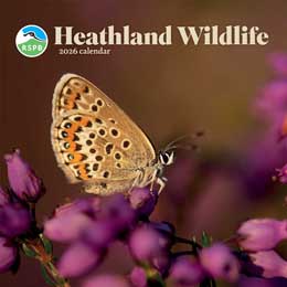 RSPB Heathland wildlife calendar 2026 product photo
