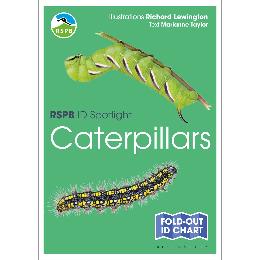 RSPB ID Spotlight - Caterpillars product photo