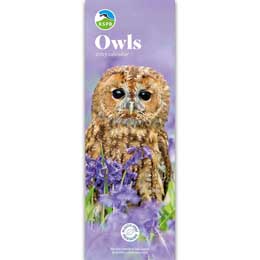 RSPB Owls calendar 2025 product photo
