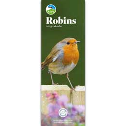 RSPB Robins calendar 2025 product photo