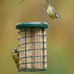 RSPB Super suet logs, mealworm x8 product photo