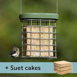 RSPB Ultimate suet feeder + Super suet cakes x3 offer product photo