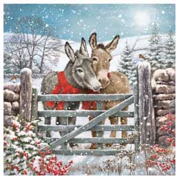 Snuggling Donkeys Christmas cards, pack of 10 product photo