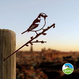 House sparrow metal bird product photo