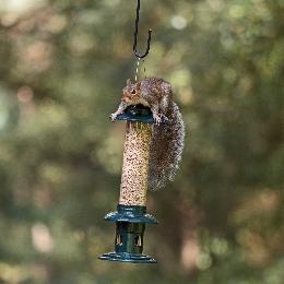 Squirrel Buster Evolution seed feeder product photo