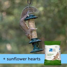 Squirrel Buster Evolution and Sunflower hearts product photo