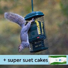 Squirrel Buster suet feeder and suet cakes product photo
