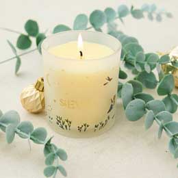 St Eval winter thyme candle product photo