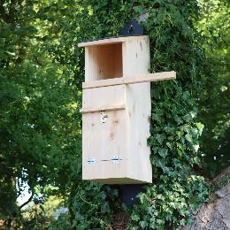 RSPB Tawny Owl nest box product photo