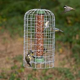 RSPB Ultimate suet pellet & peanut feeder and guardian, medium product photo