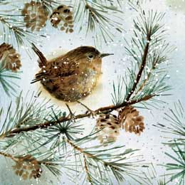 Watercolour Wren Christmas cards, pack of 10 product photo