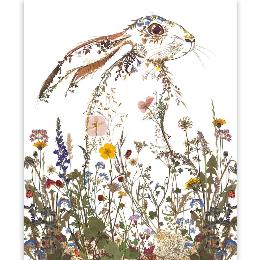 Wildflower hare greetings card product photo