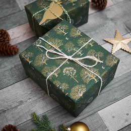 Winter trees recycled wrapping paper, 10 metres product photo