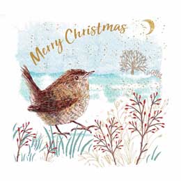 Wondrous Wren Christmas cards, pack of 10 product photo