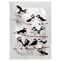 Puffins perching greetings card product photo default T