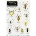 A guide to house and garden spiders chart product photo default T