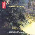 Dawn Chorus CD product photo default T