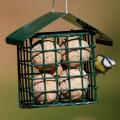 Dual suet feeder for fat balls & cakes product photo front T