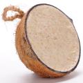 Super suet coconut halves - original, box of 10 product photo front T