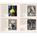 RSPB Handbook of the Seashore product photo front T