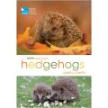 RSPB Spotlight hedgehogs product photo default T