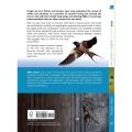 RSPB Spotlight swifts and swallows product photo front T