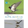 RSPB Spotlight swifts and swallows product photo default T