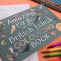 Amazing birds of the British Isles colouring book product photo side T