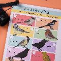 Amazing British garden birds activity book product photo front T