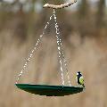 Anywhere bird bath product photo default T