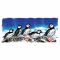 Aurora puffins Christmas cards, pack of 10 product photo default T