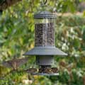 Automatic bird feeder with timer product photo default T