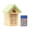 Solitary bee house with wildflower seeds product photo default T